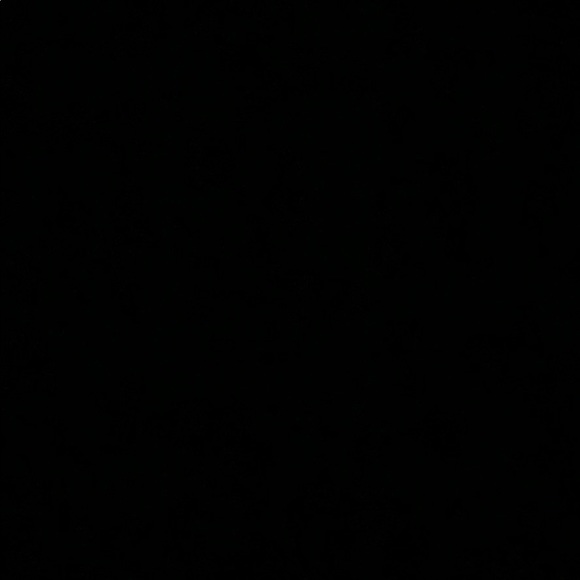 Meet your Posher, Jayda - Picture 1 of 1